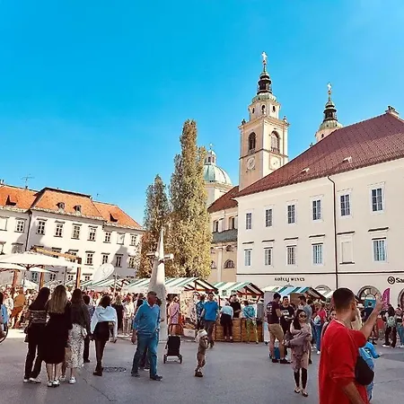 Oasis In The Centre Ljubljana