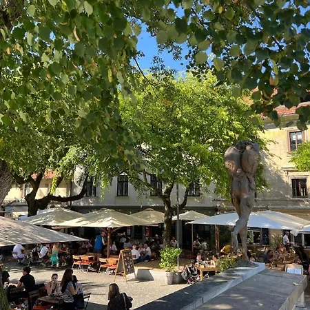 Oasis In The Centre Apartmán *