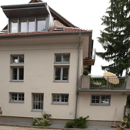 Oasis In The Centre *