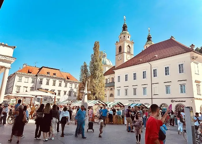 Oasis In The Centre Lublaň