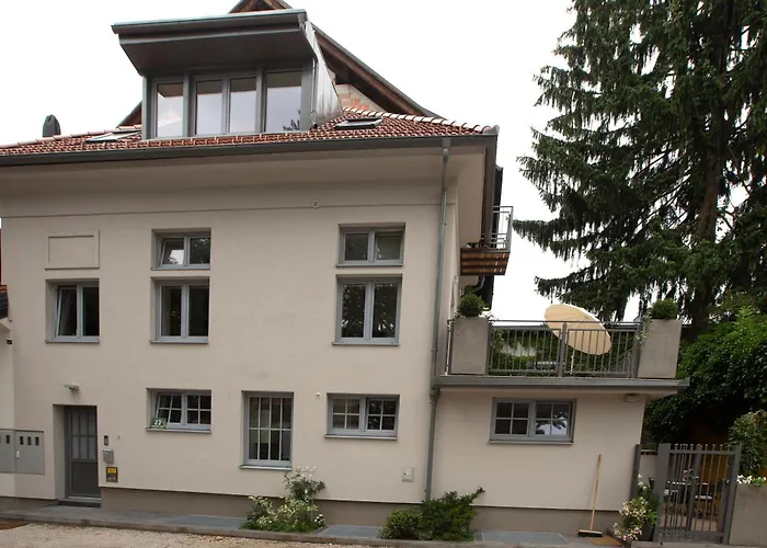 Oasis In The Centre *